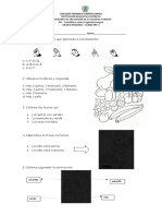 Castellano Grado Primero