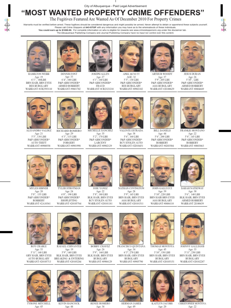 Dec 2010 Property Crime Offenders Robo Domiciliario Robo