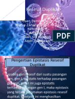 Kelompok 9 Epistasis Resesif Duplikat