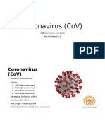 Coronavirus (CoV)