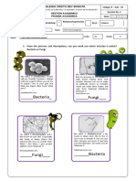 ACTIVITY SCIENCE QUINTO