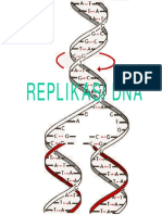 replikasidna.pdf