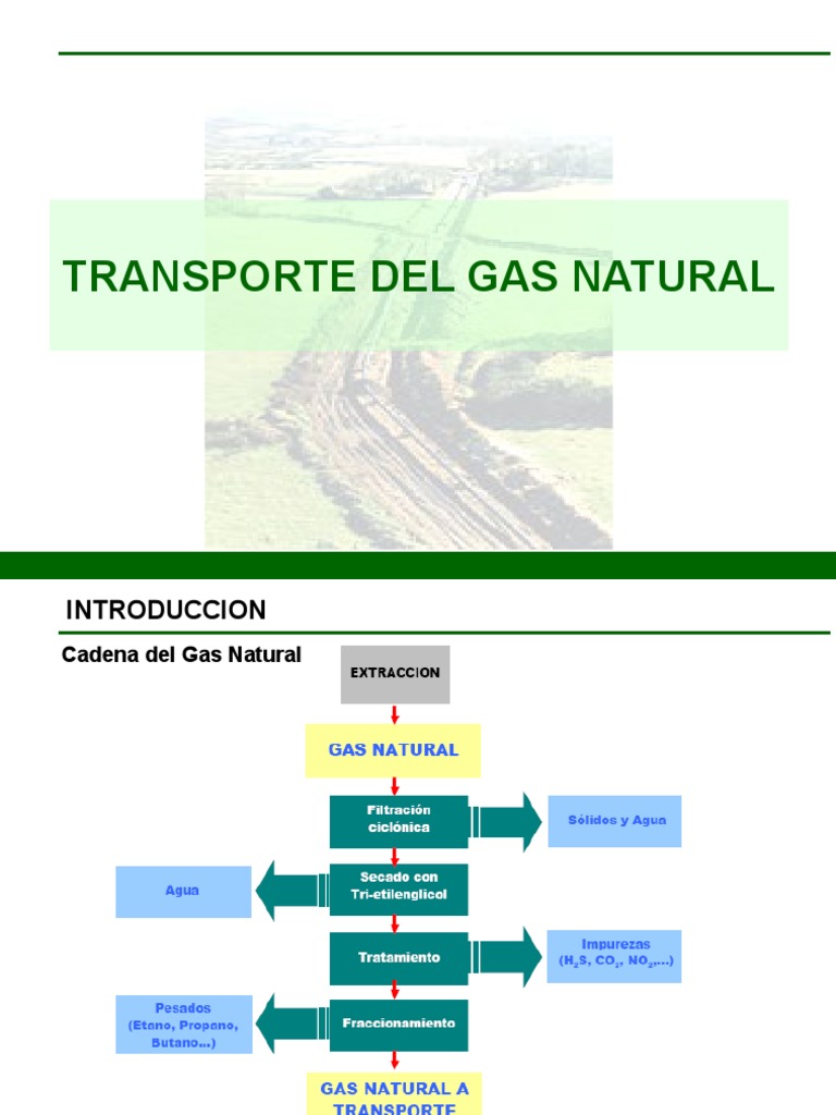 Tema 4.1.sistemas de Transporte de Gas Natural | PDF | Gas natural ...