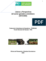 Balance Y Perspectivas 2019 2020 PDF