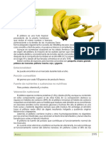 platano.pdf