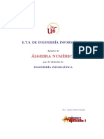 Alg_Num_ii_Ap.pdf