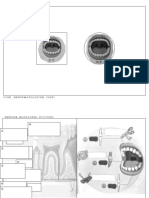 三年级科学-牙齿.docx