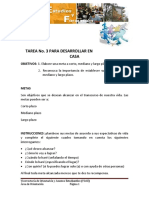 Tarea Metas