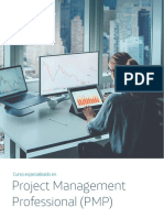 Ficha Técnica Project V2 PDF