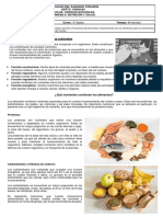 6 BASICO CIENCIAS Guía de Nutrientes Parte Teórica 2020 PDF