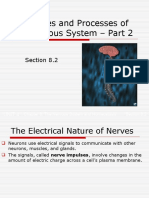 Structures and Processes of the Nervous System.ppt