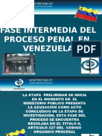 71974768-Proceso-Penal-en-Venezuela.pptx