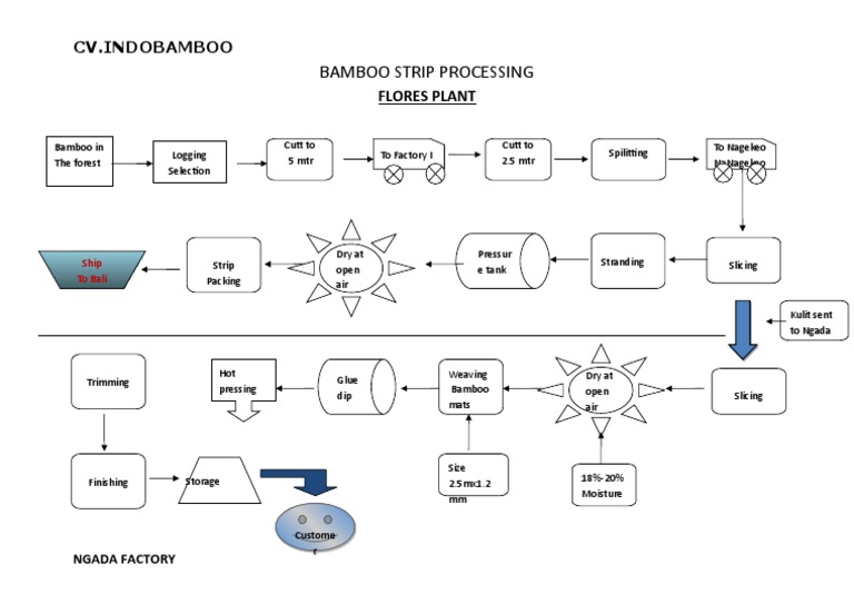 Bamboo Strip Processing Overview | PDF