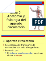 Aparato - Circulatorio (Autoguardado)