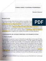 Ciudades Intermedias Parte I - SCHEJTMAN PDF