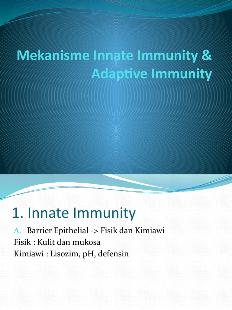 Mekanisme Imunitas Innate dan Adaptif | PDF