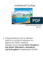 Biogeochemical Cycling Cycles