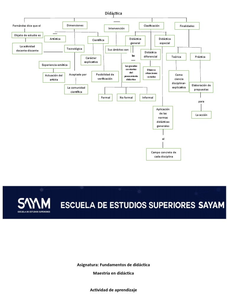 Mapa Conceptual Didáctica | PDF | Maestros | Plan de estudios