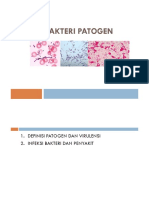 Bakteri Patogen