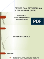 Ruptur Serviks Dan PJT (Gloria T. Lembang)