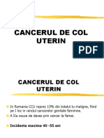 Cancerul de Col Uterin