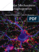Molecular Mechanisms of Synaptogenesis - A. Dityatev, A. El Husseini (Springer, 2006) WW