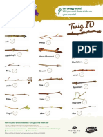 Twig Id Sheet