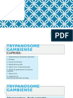 TRYPANOSOME GAMBIENSE.pptx