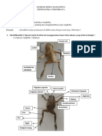 Puji Rahayu-1805110679-LKMAmphibia