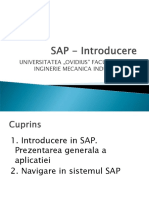 SAP - Introducere PDF
