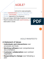 What Is Agile?: A Framework Centered On Two Main Principles