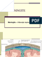 18. MENINGITE-curs Romana