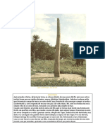 Documento 29