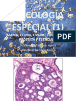 04 Oncología Especial 1 2020 Genital Masculino y Femenino Final