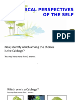 Philosophical Perspectives of The Self