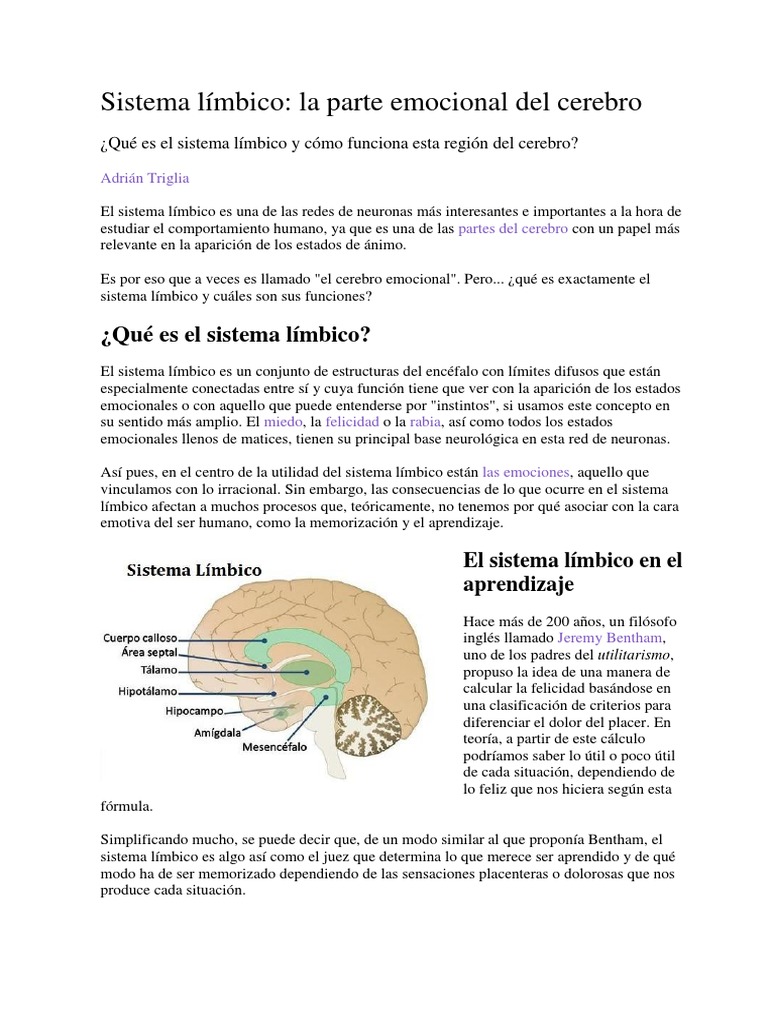 Cerebro Limbico | PDF | Sistema límbico | Las emociones
