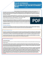 BCG Vaccine Rates Information Sheet ES PDF