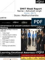 DMIT Weekly Reports