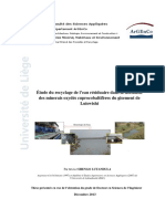 Thèsedeshengolutandulamichel PDF