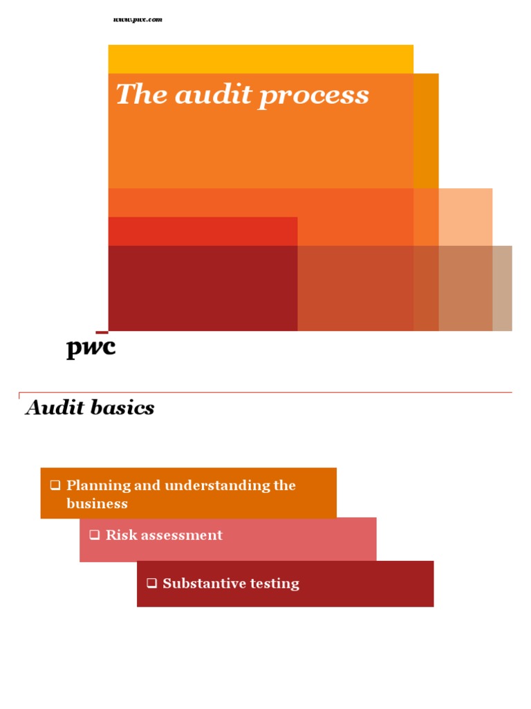 The Audit Process | PDF | Internal Control | Risk