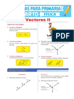 Tipos de Vectores para Cuarto de Primaria