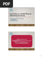 Cultura e Competência Organizacional