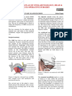 Submandibular Gland Excision