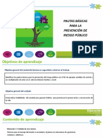cartilla riesgo publico.pdf