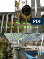 Welcome to Cabbage Hill Farm