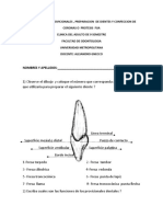 Examen Sobre Provicionales, Preparacion de Dientes y Elaboracion de Coronas para Protesis Fija