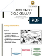 Clase 6 y 7 Metabolismo y Ciclo Celular - UNMSM PDF