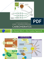 BQ 2020 Clase 2 - Carbohidratos.pdf