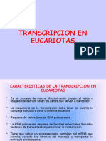 Transcripcion en Eucariotas