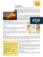 4.2 Tipos de Fogatas.pdf